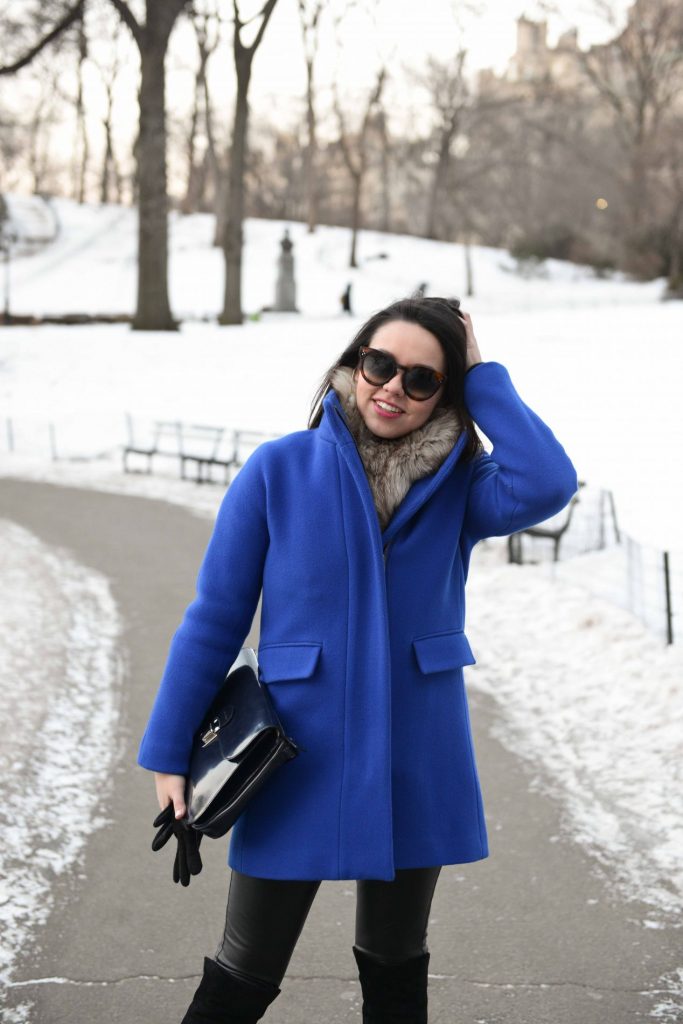 Cobalt Blue Coat in Central Park