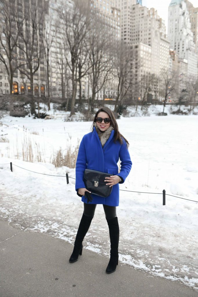 Cobalt Blue Coat in Central Park