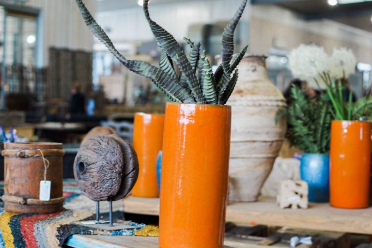 Travel Guide Beginner's Guide to Round Top, Texas Adored By Alex