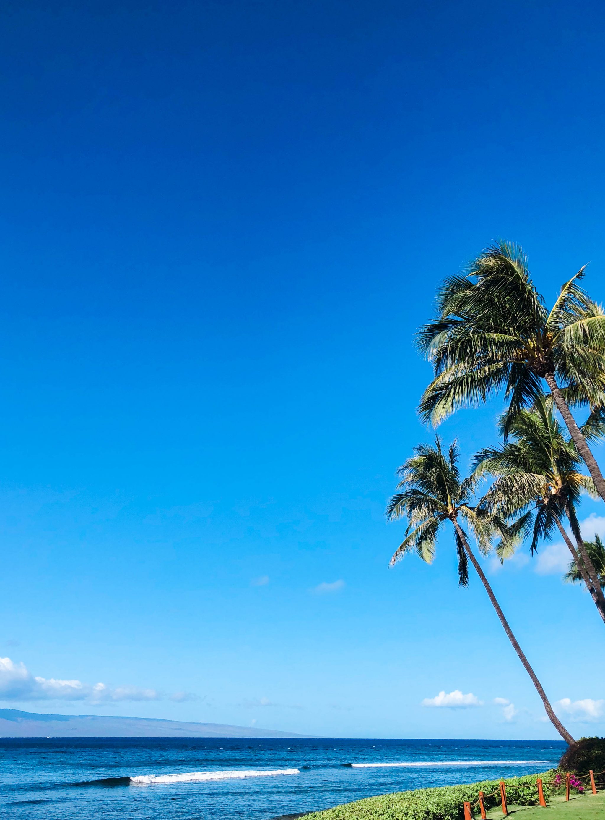 Maui, Hawaii Travel guide | Adored by Alex