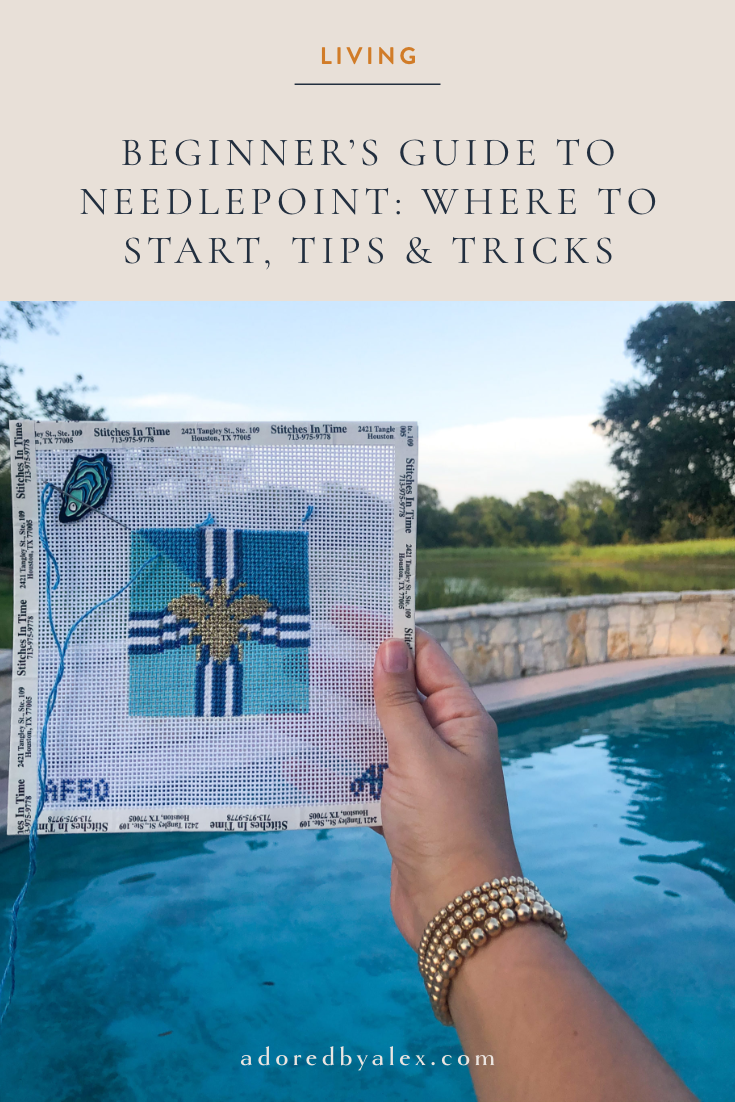 beginner's guide to needlepoint 